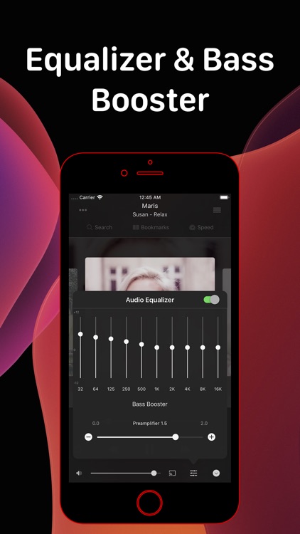 Evermusic Pro: offline music