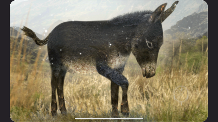 Animal Totems Empowerment Deck