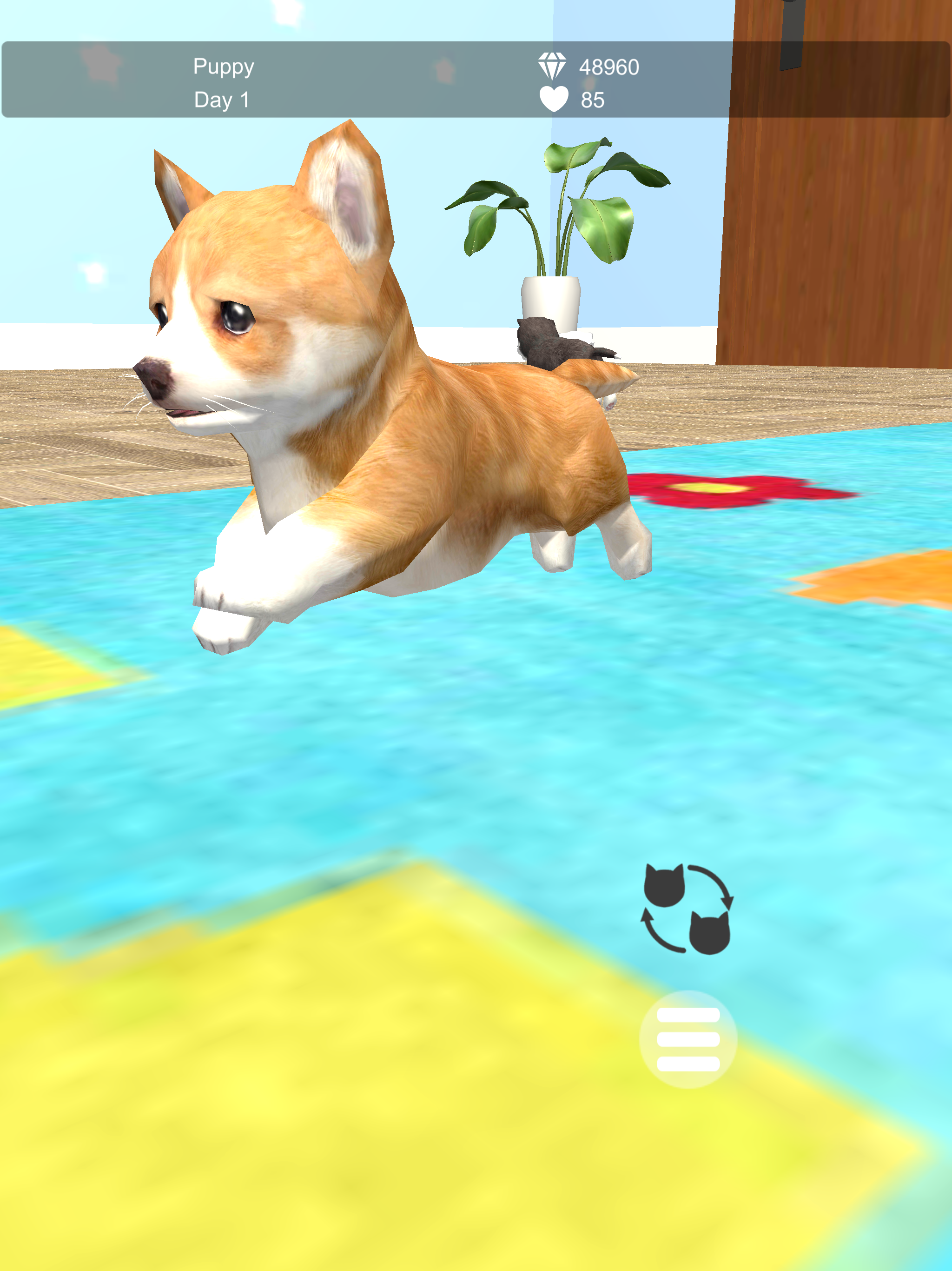 My Puppies