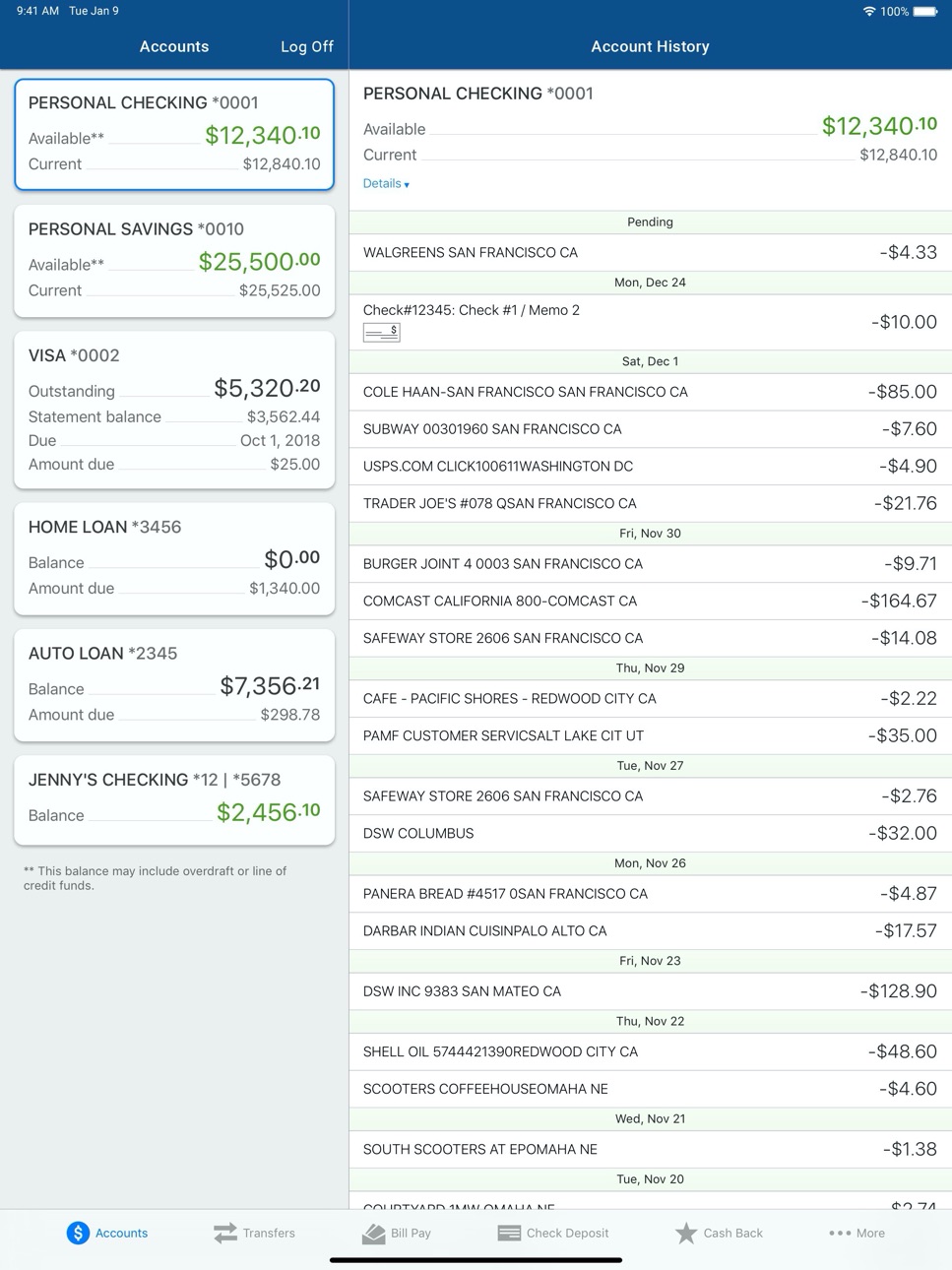 iPad screenshot