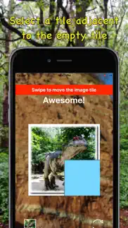 best 2x2 dinosaur slide puzzle iphone screenshot 2