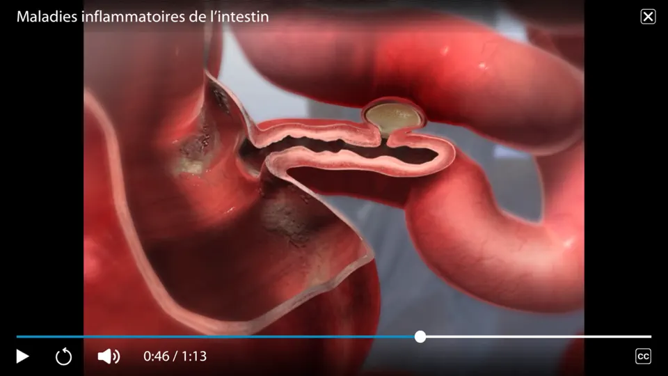 Capture d'écran de Physiologie & Pathologie sur iPhone 8