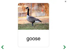 Game screenshot See and Learn Saying Words 2 hack