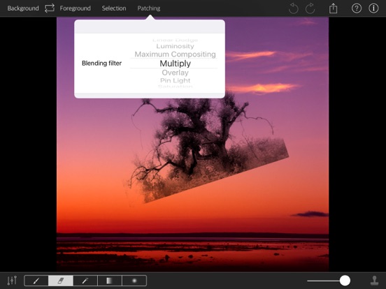 PhotoPatch Pro iPad screenshot 4 - Photo & Video app