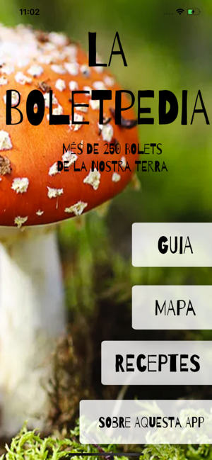 Boletpedia