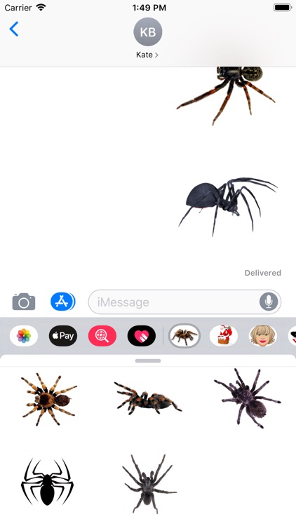 Spider Set Stickers