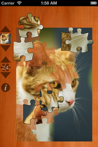 Cat Puzzlesのおすすめ画像4