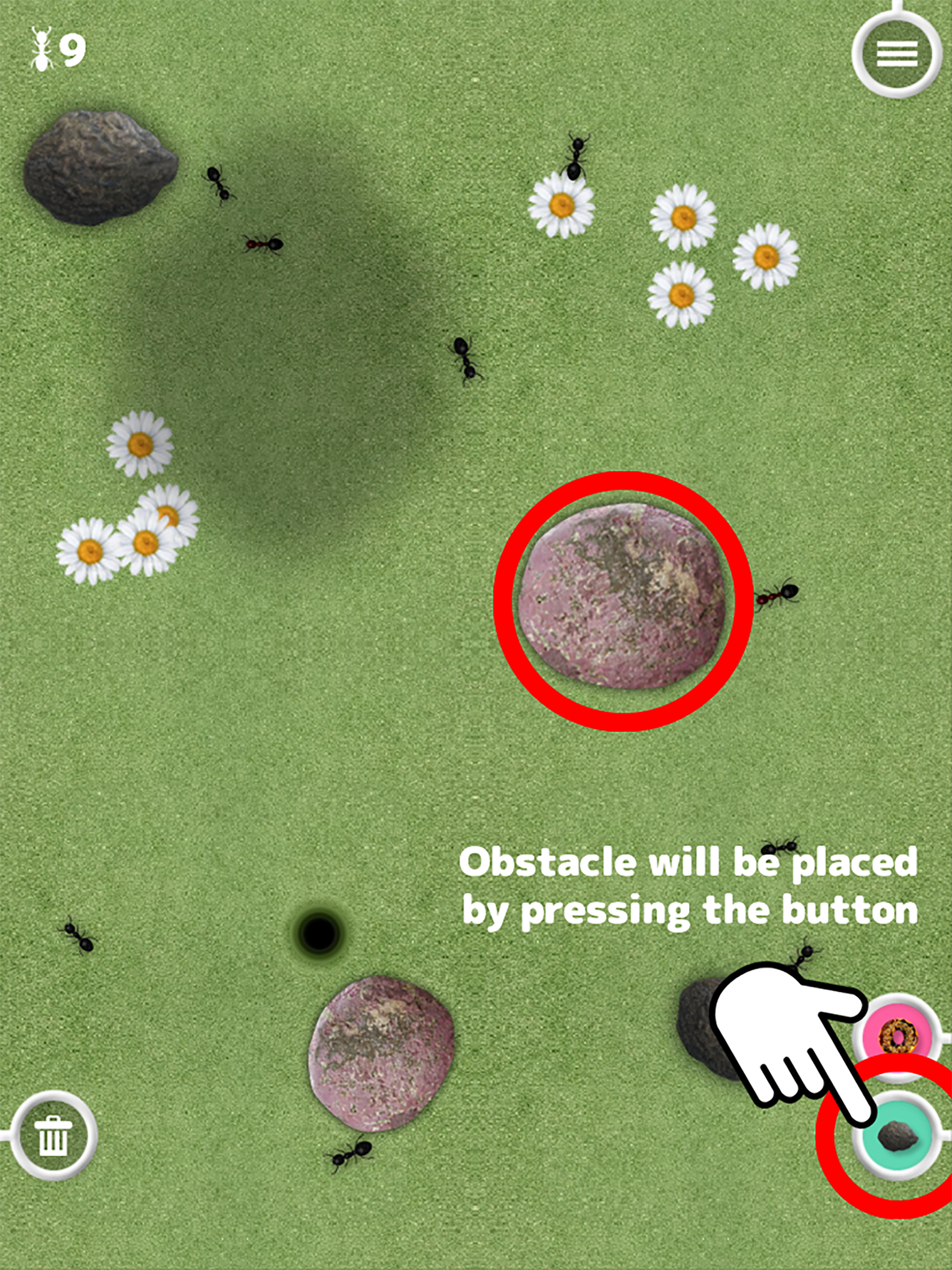 Great Ant Adventure