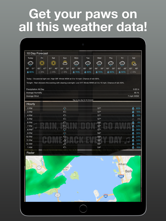 Boo Weather: Pomeranian Puppyのおすすめ画像4