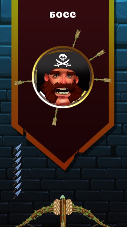 Crossbow Shooting: Bow & Arrow