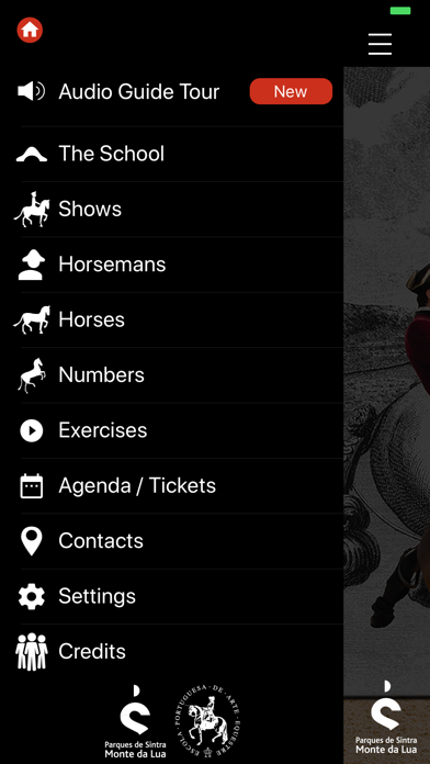 Arte Equestre Screenshot