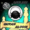 Quran Kareem Offline by Alossi problems & troubleshooting and solutions