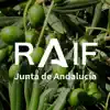 RAIF Andalucía contact information