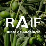 RAIF Andalucía App Contact