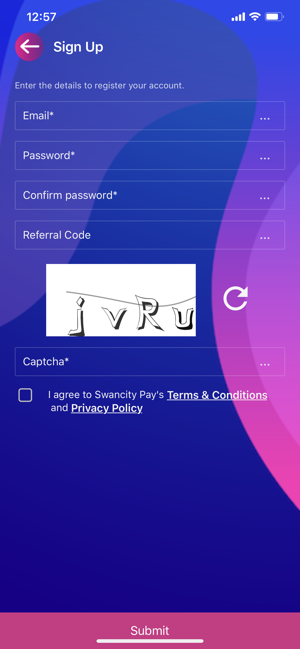Swan City Pay(圖2)-速報App