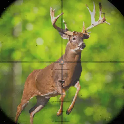 Deer Hunter 2023 Hunting Game Читы