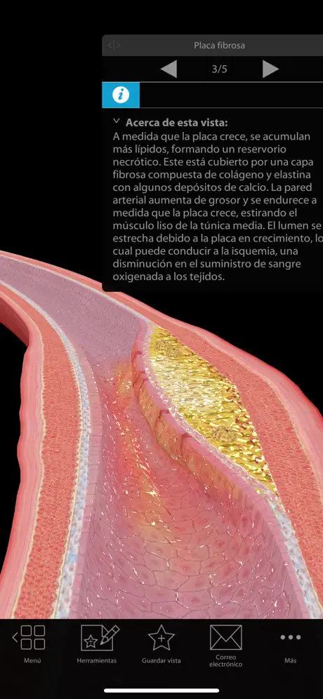 Fisiología & Patología