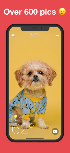 Paw Weather · Forecast & Radar(圖2)-速報App