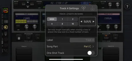 Quantiloop - Live Looper