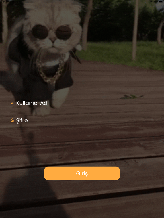 Screenshot #4 pour Togo Pet