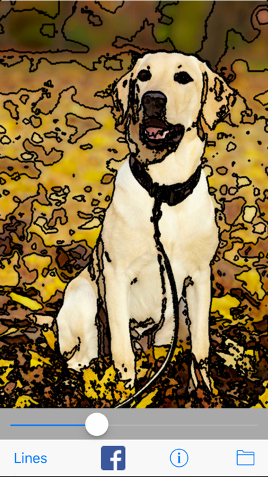 Toon Shine - Cartoonize photos Screenshot
