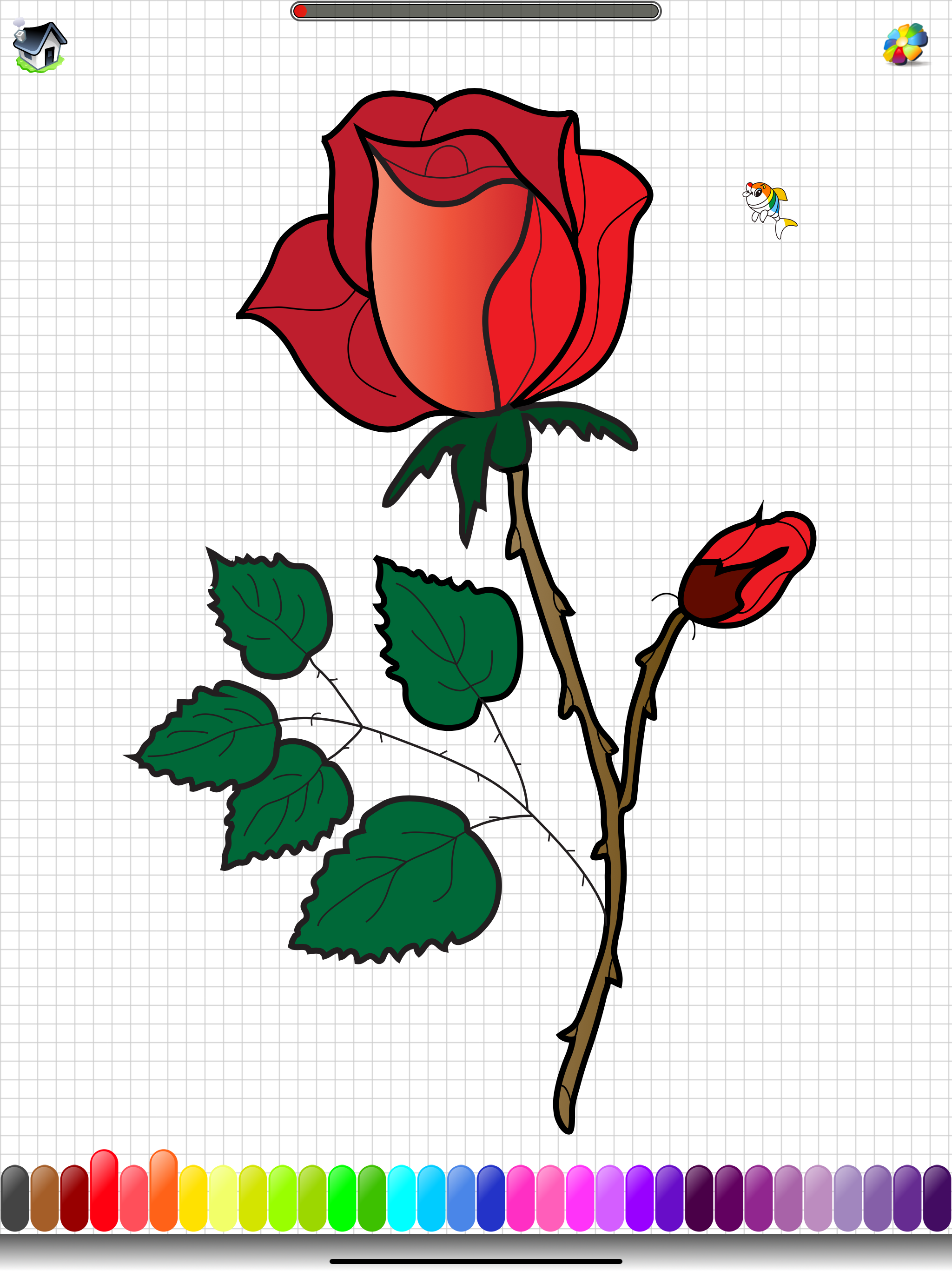 Coloring+