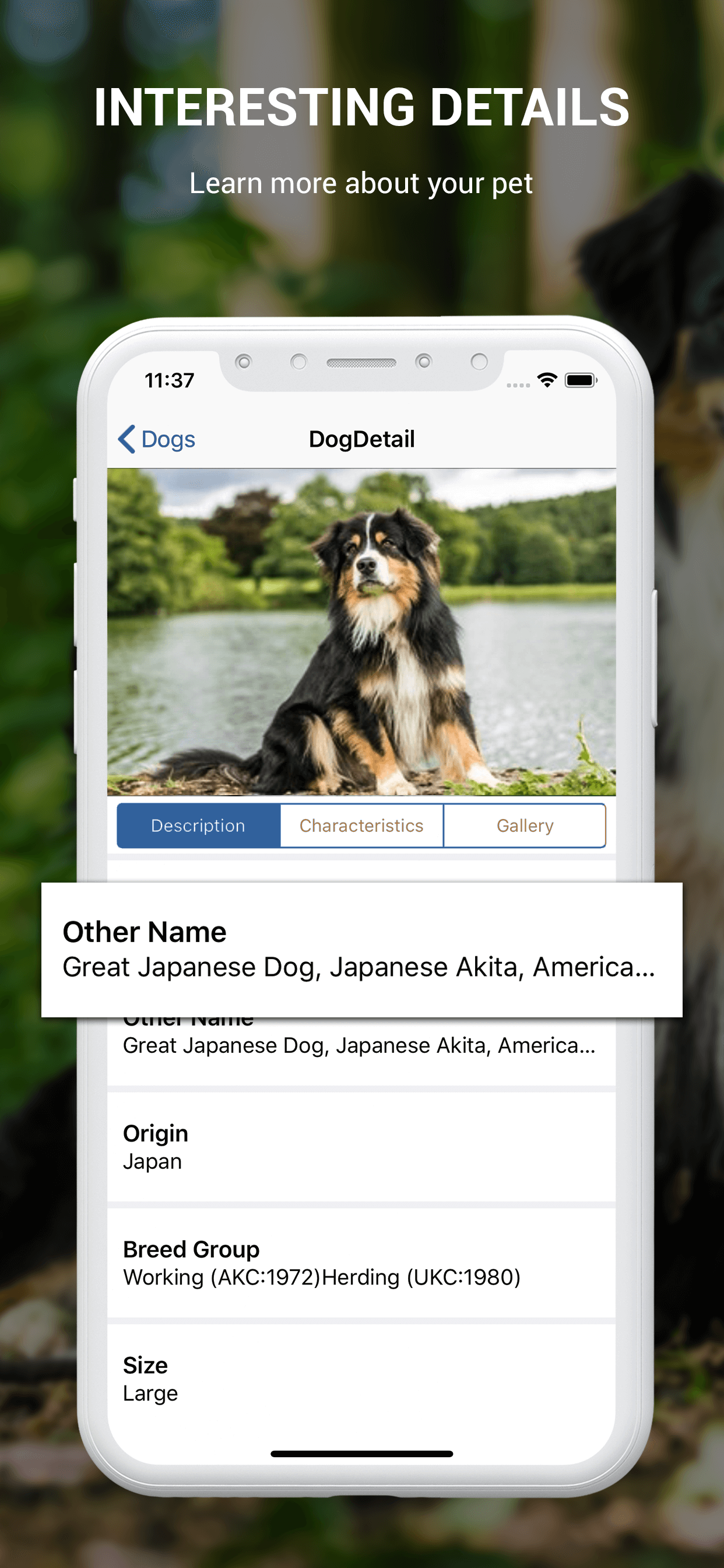 Dog Book: Breed Identifier
