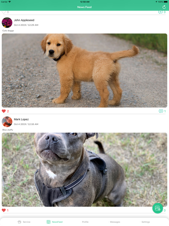 Screenshot #5 pour Mr. Pet