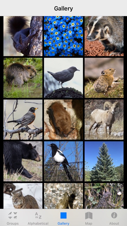 Rocky Mountain NP Field Guide