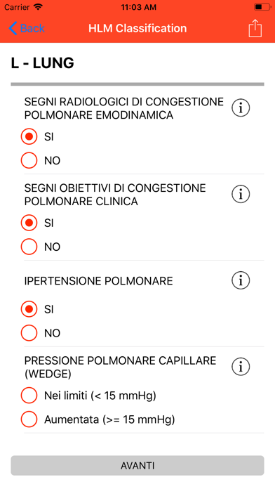 Classificazione HLM screenshot 3