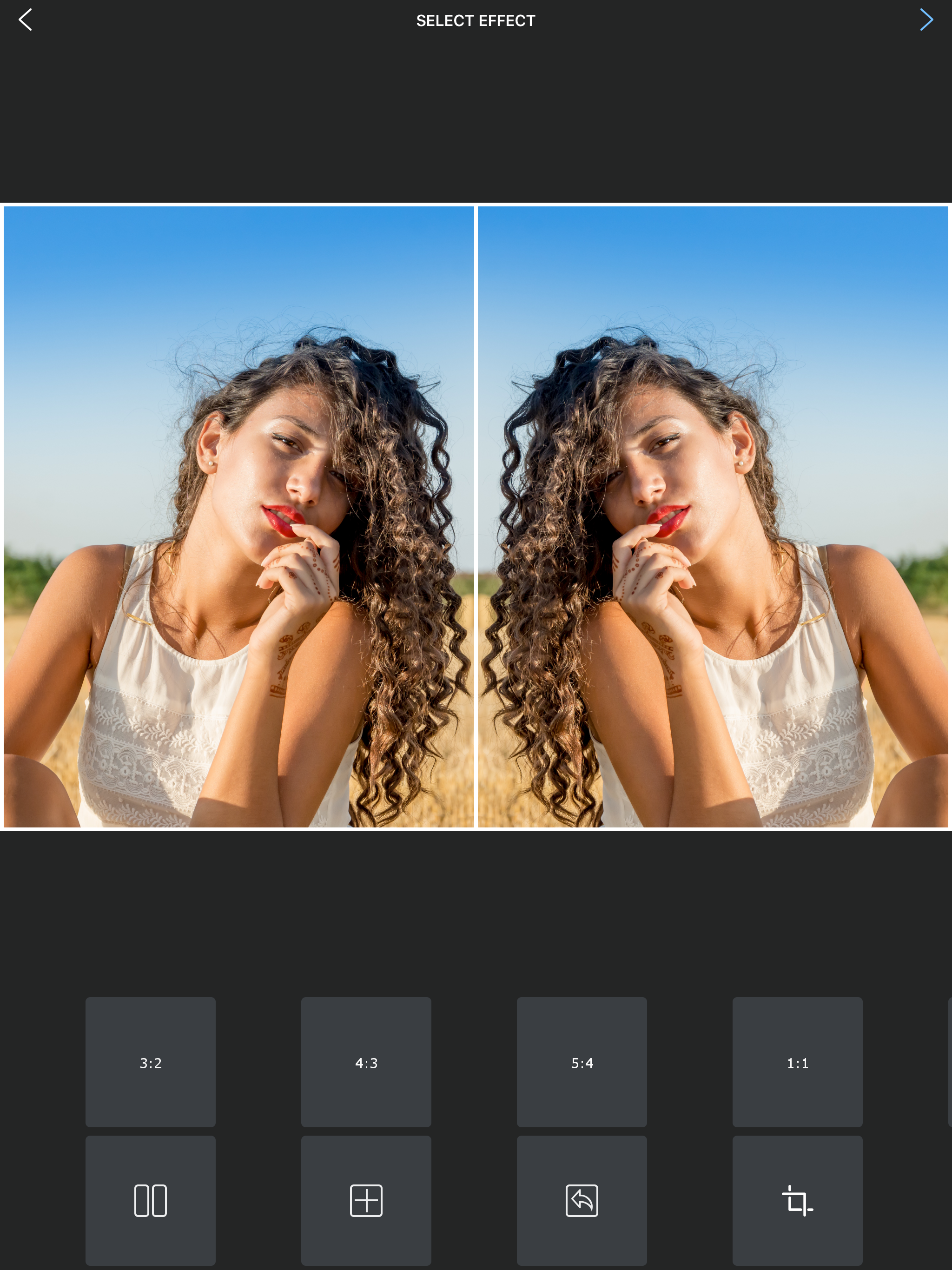 Flipper - Mirror Image Editor