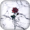 Marble Wallpaper - CRISPAPP, LTD