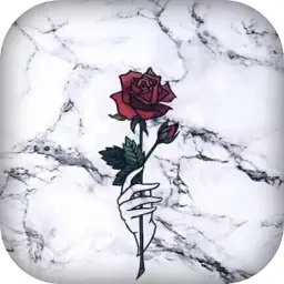 Marble Wallpaper app icon