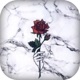 Marble Wallpaper app icon - Photo & Video app for iPhone