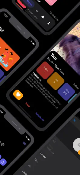 Game screenshot Pet Planet apk