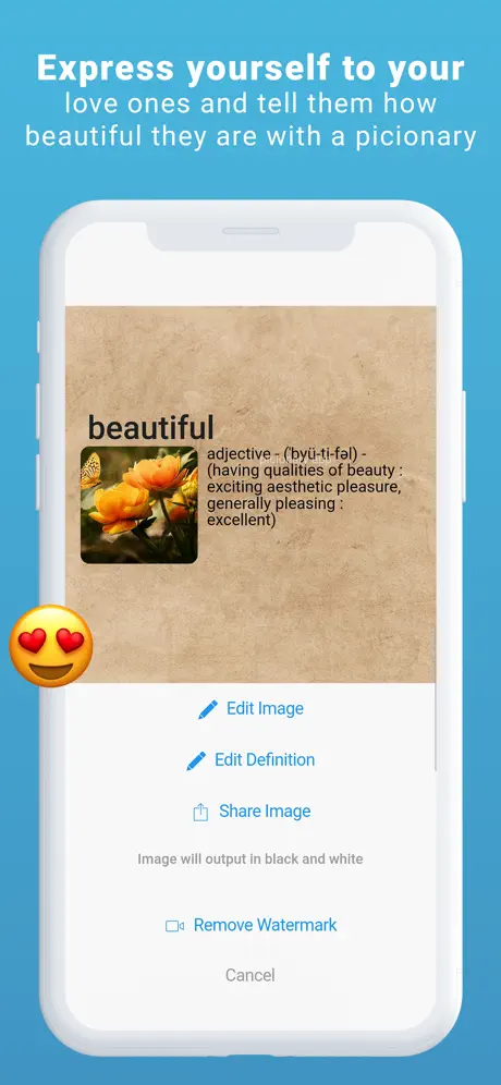 Picionary
