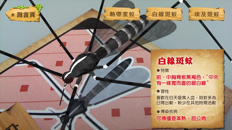 滅蚊大作戰 EndOfTheMosquito