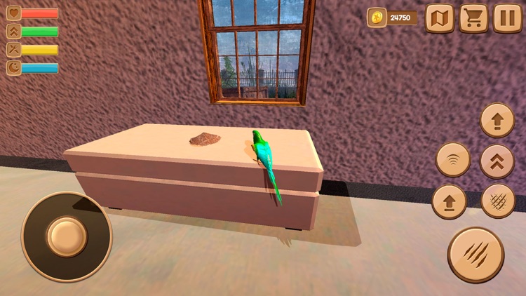 Home Pet Parrot Simulator screenshot-4