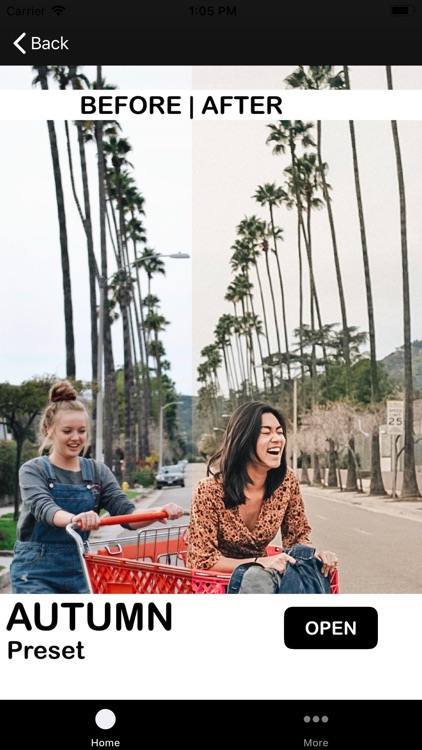 FreeLightroomPresets.com screenshot-8