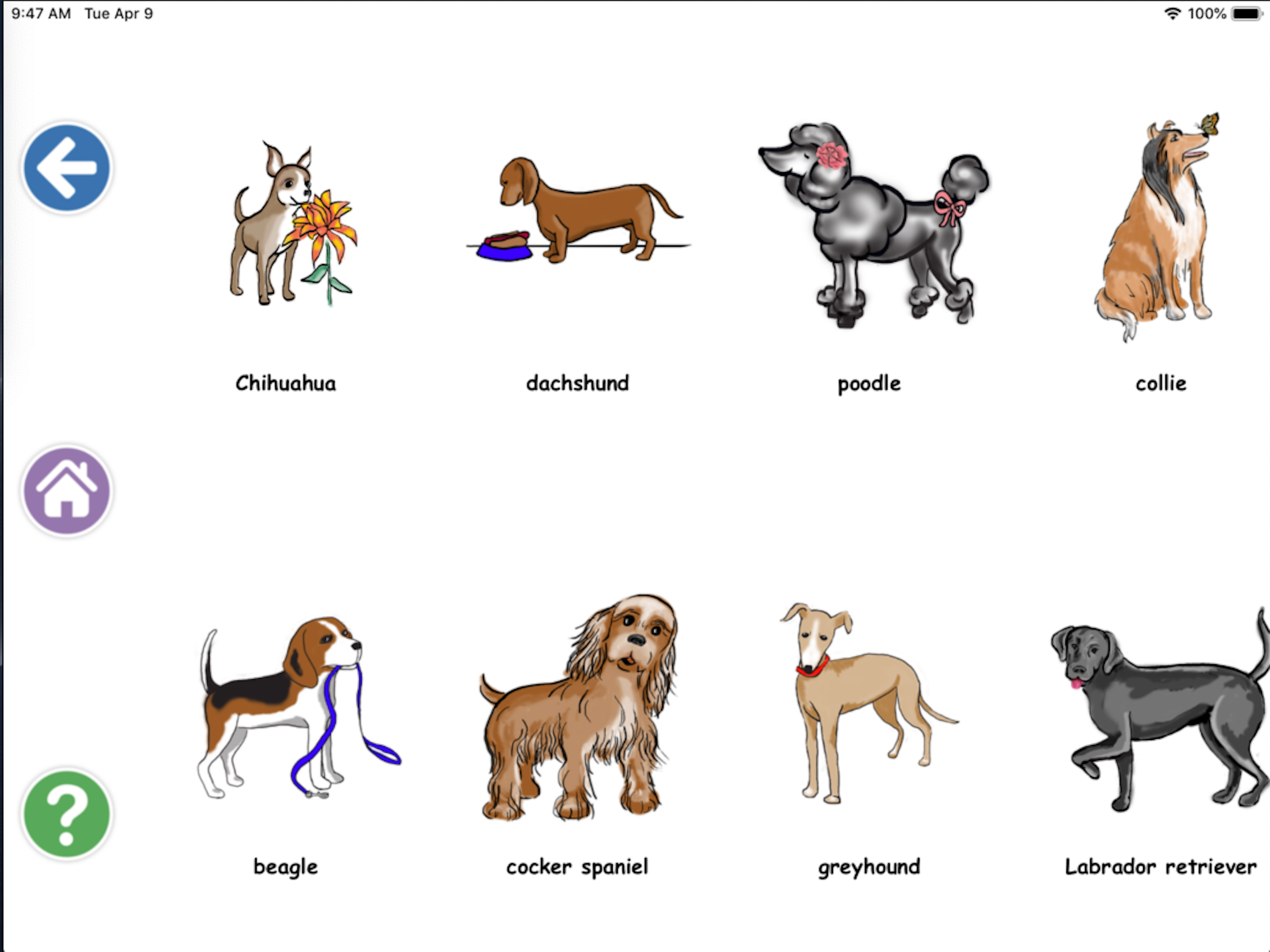 Brainy Words 2000 screenshot 8