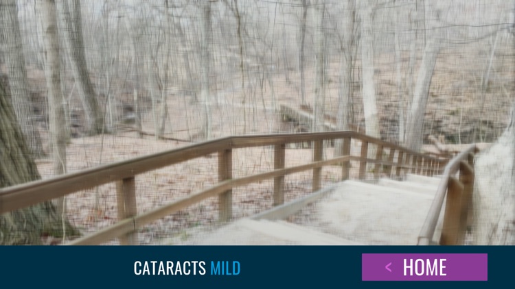 See Like Me screenshot-4