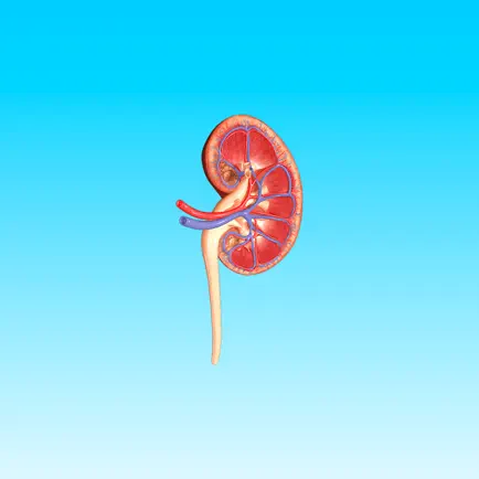 Kidney AR Читы