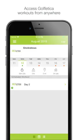 Game screenshot Golfletica mod apk