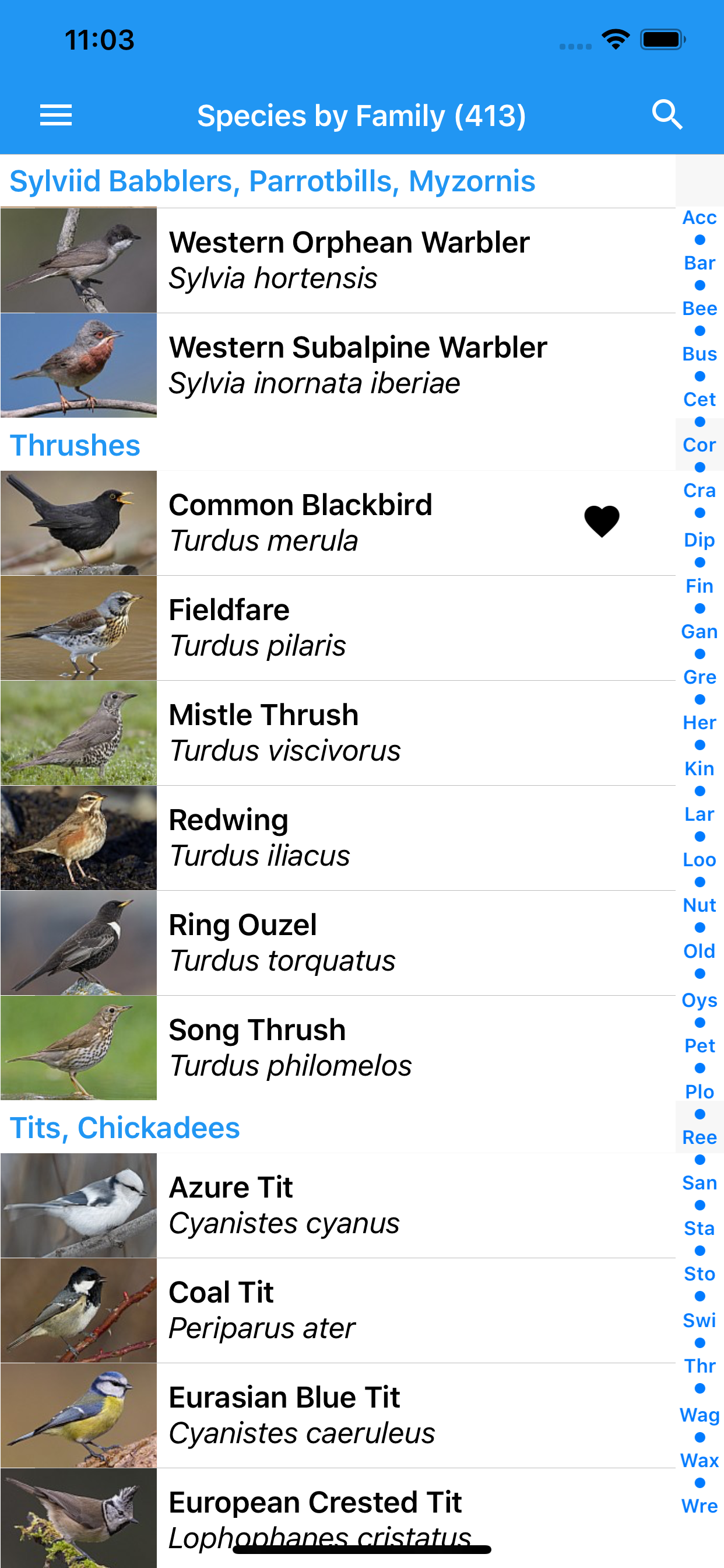 BirdSounds Europe