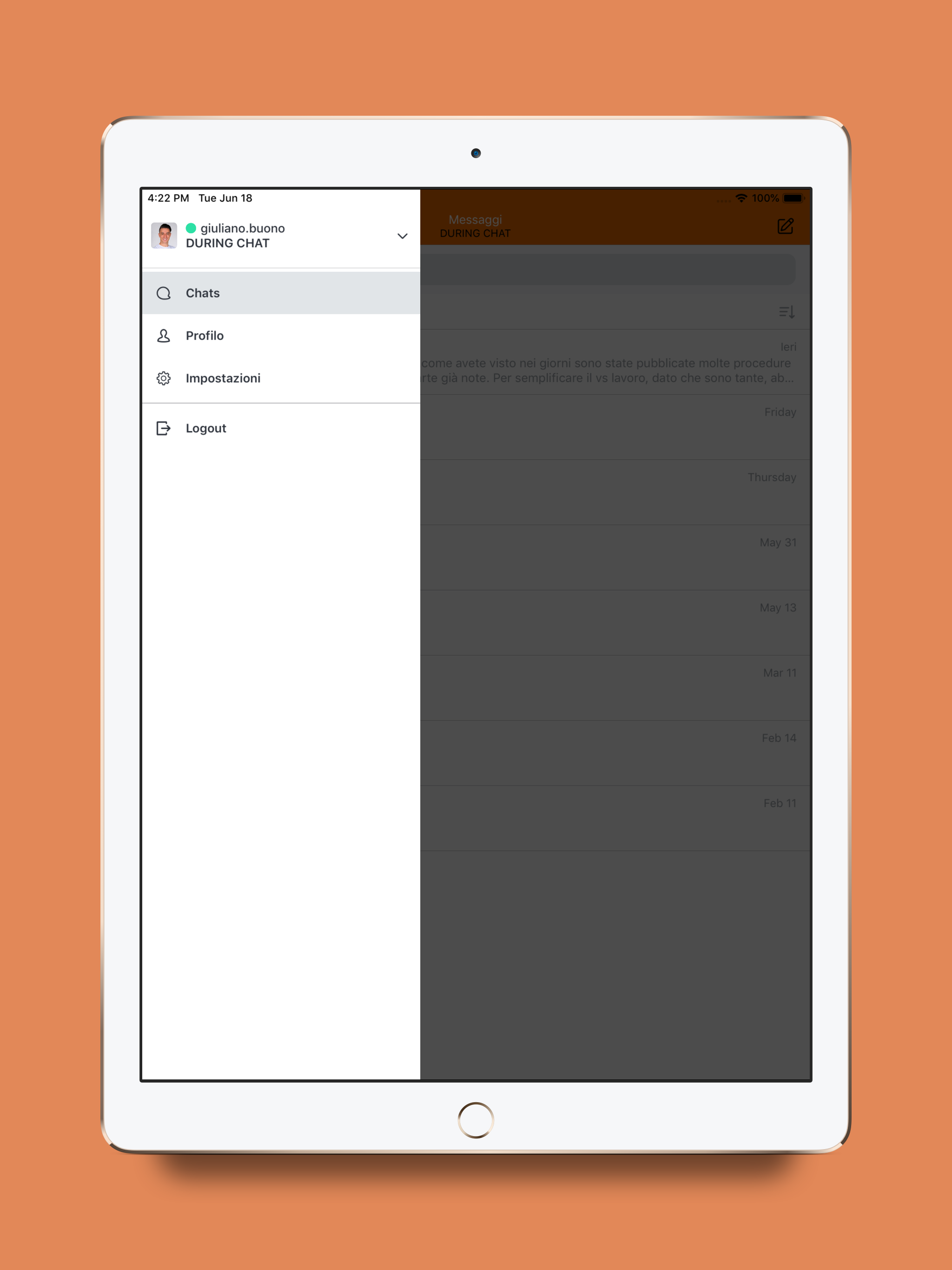 During Chat screenshot 5