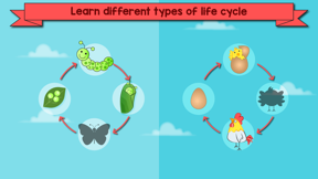 Curious World: Preschool Learn screenshot