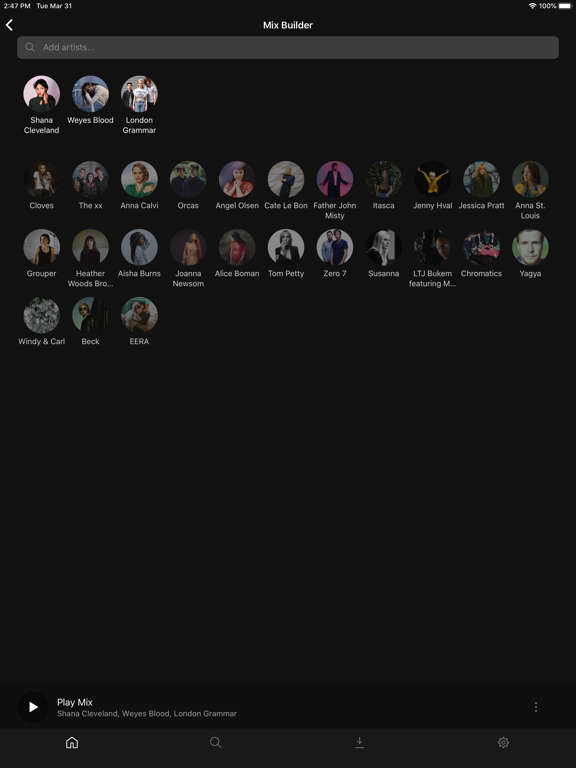 Plexamp iPad screenshot 4 - Music app