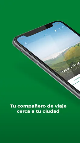 Game screenshot Y tú, qué planes? - Rutas Cort mod apk