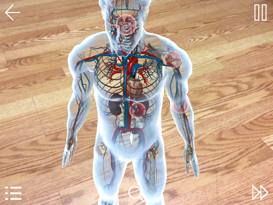 Screenshot #6 pour IRAE-AR