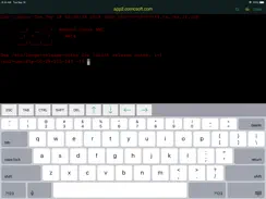ITerminal Pro – SSH Telnet iPad image 4